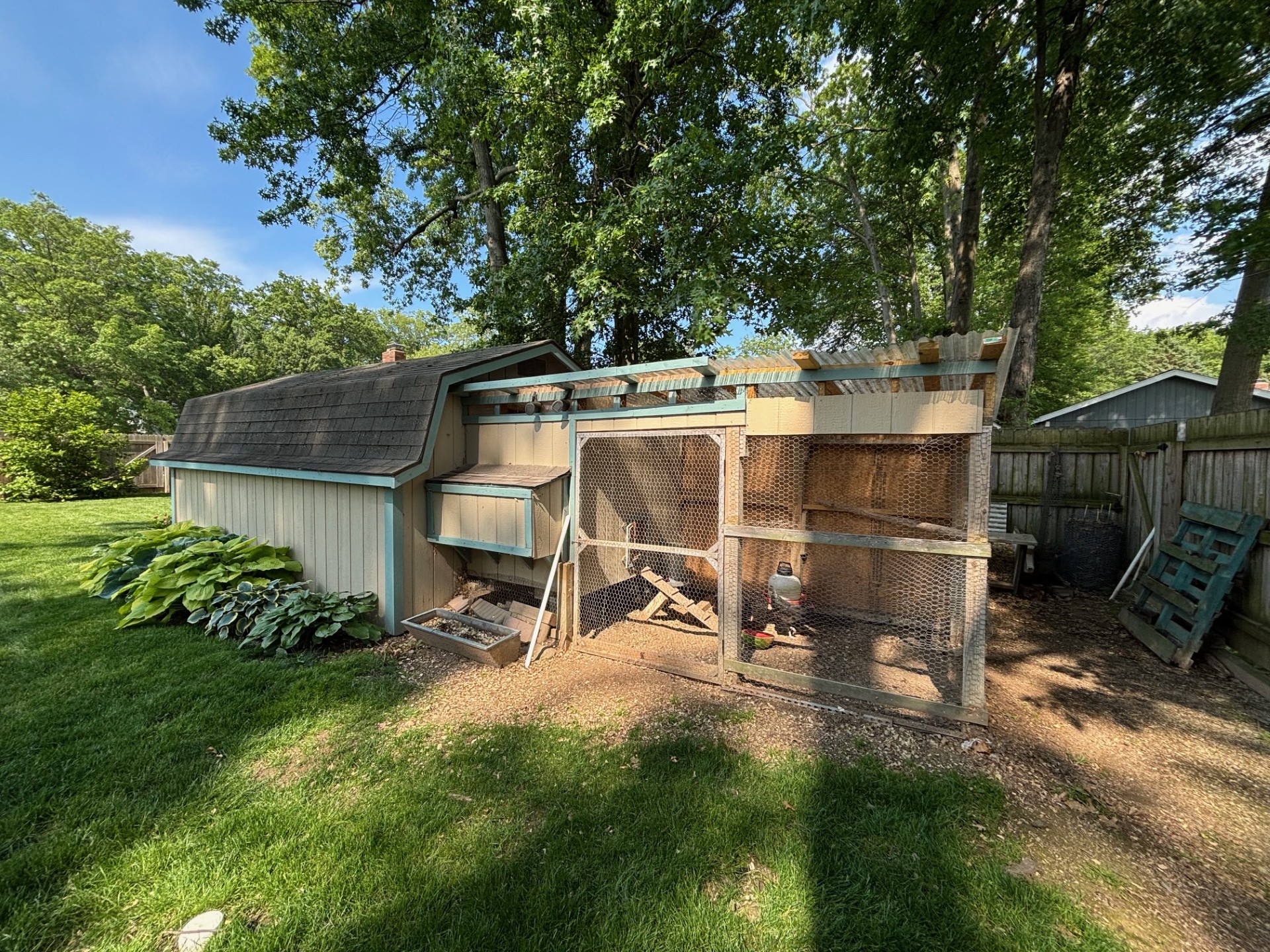 Backyard chicken coop